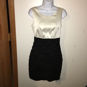 Express Business Dress